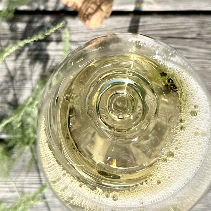 Deutz Demi sec Champagne med 9 luksus dessertchokolader i træskrin