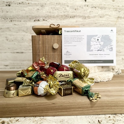 Plant et træ bevis. Bambusæske med 300 gram Luksus chokoladeblanding