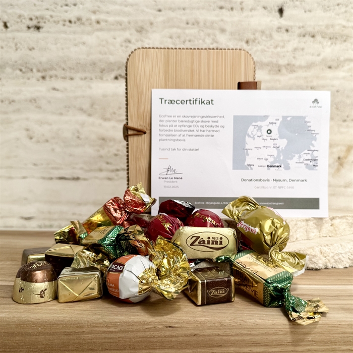 Plant et træ bevis. Bambusæske med 300 gram Luksus chokoladeblanding