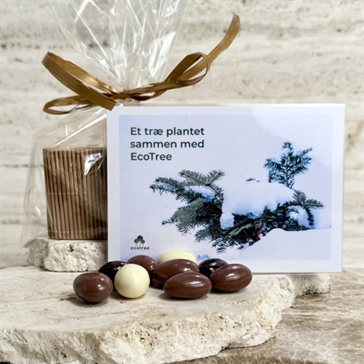 Plant et træ bevis - Bambusæske med låg. Fyldt med 200 gram Italienske chokolademandler