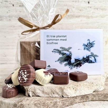 Plant et Træ Bevis - Bambusæske med låg og 10 Belgiske Gourmetchokolader