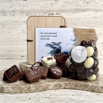 Plant et træ - Bambusæske fyldt med 360 gram lækker chokolade