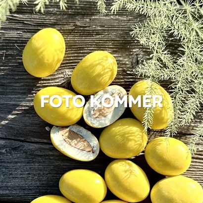 Træskrin med Portvin Grahams Fine Tawny og italienske chokolademandler 